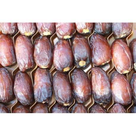 datte fraiche bio datte fraiche bio