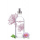 Eau Egyptienne 100 ml  CINQ MONDES