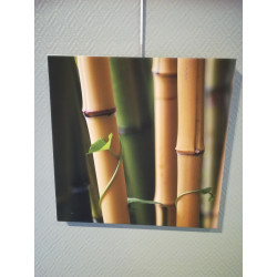Cadre déco en toile avec impression bambou