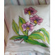 COUSSIN ORCHIDEES