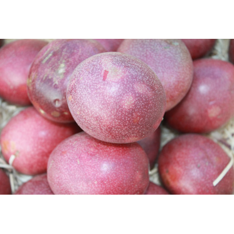 fruit de la passion