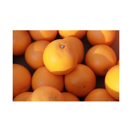 orange à jus