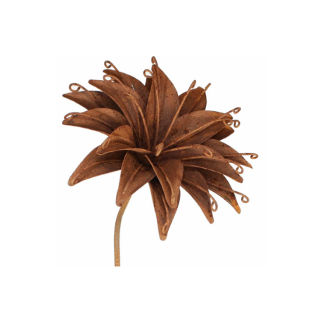 fleur acier fleur acier