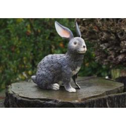 lapin
