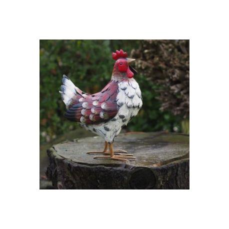 poule acier poule acier