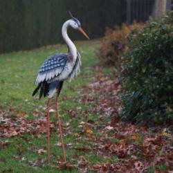 heron