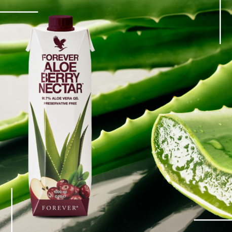 Aloe Berry Nectar Aloe Berry Nectar