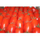 tomates torino