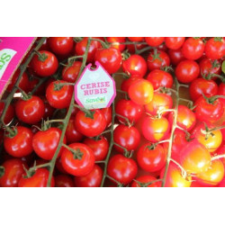 tomates cerise d'Avignon