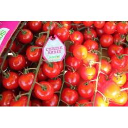 tomates cerise