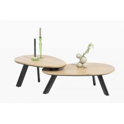 Table basses x 2 Homestead