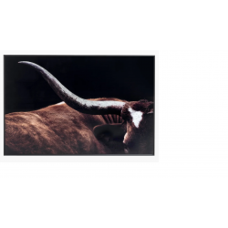 RODEO TABLEAU COCO​maison
