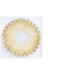 GLASSIFIED DECO MURALE 3D COCO​maison