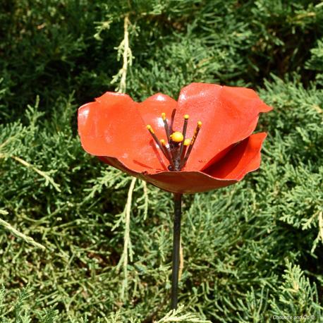 coquelicot rouge