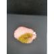 poire grattante