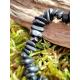 Bracelet baroque Shungite