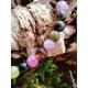 Bracelet Tourmaline Multicolore