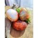 Galet plat Cornaline