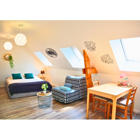 Studio - Le Cosy
