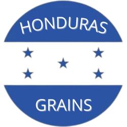 Café Honduras en grains