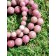 Bracelet Rhodonite (Australie)
