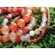 Bracelet Cornaline 