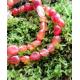 Bracelet Cornaline