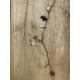 Collier VANILLE