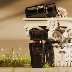 N°016 Olfazeta ( Le mâle, JPG )