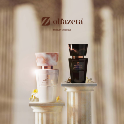 N°127 Olfazeta Luxury Mixte ( Oud Wood, Tom Ford )