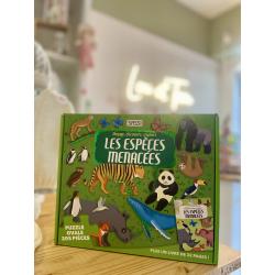 Puzzle Les phénomènes naturels SASSI