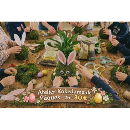 Atelier Kokedama de Pâques