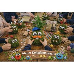 Atelier Kokedama rigolo - 14 avril 2026