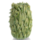 Vase Peas in a pot