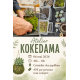 Atelier Kokedama - 06 mai 2026