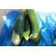 courgettes