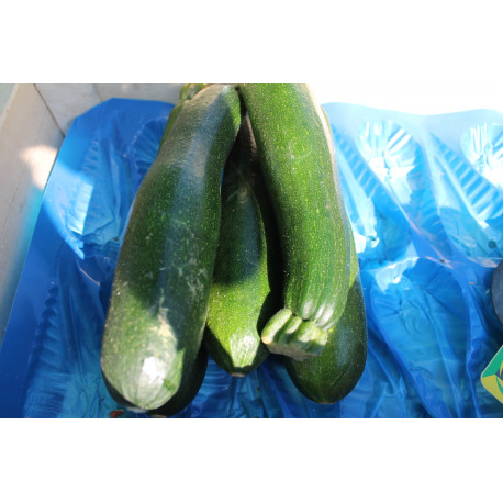 courgettes