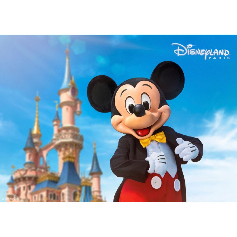 Reservez Votre Journee A Disneyland Paris Avec Les Voyages Inglard