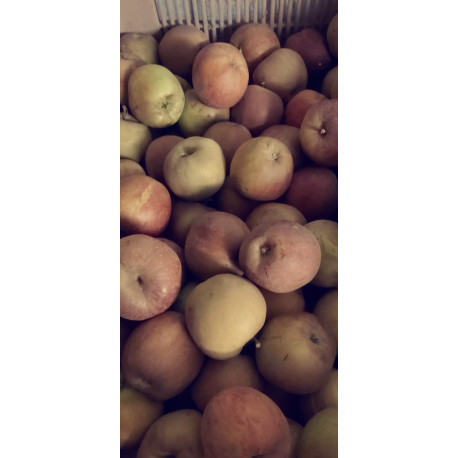 Pommes Pays Boscop Pommes Pays Boscop