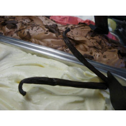 Crème glacée Vanille de Madagascar