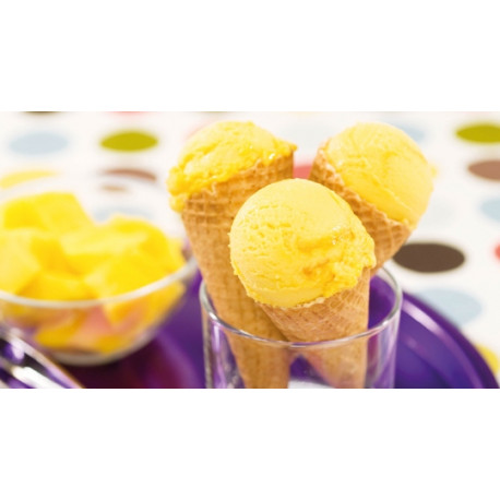 Sorbet Mangue Passion Sorbet Mangue Passion