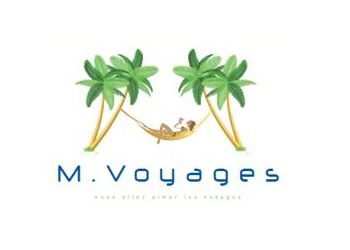 havas voyages logo png